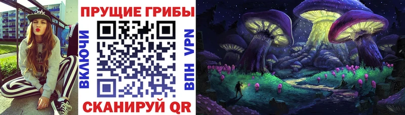 Псилоцибиновые грибы Magic Shrooms  Ноябрьск 