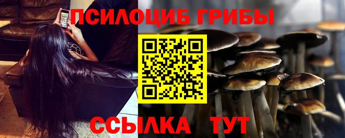 Ноябрьск  Галлюциногенные грибы Magic Shrooms  продажа наркотиков  Вход с VPN 