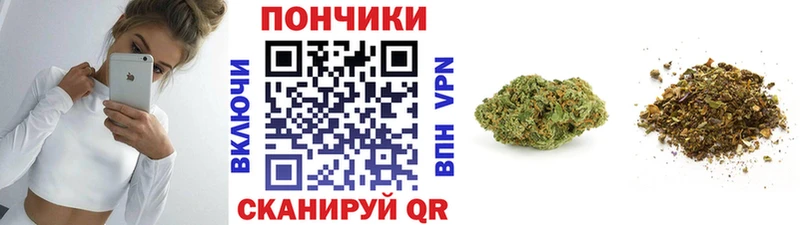 магазин продажи наркотиков  Ноябрьск  Бошки Шишки индика 